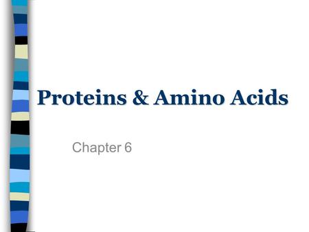 Proteins & Amino Acids Chapter 6. Where do we get it? Animal foods –Also provide B vitamins and minerals such as iron, zinc and calcium Plant foods –Also.