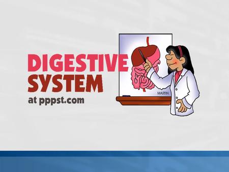 Explain generally how the digestive system (mouth, pharynx, esophagus, stomach, small and large intestines, rectum) converts macromolecules from food.