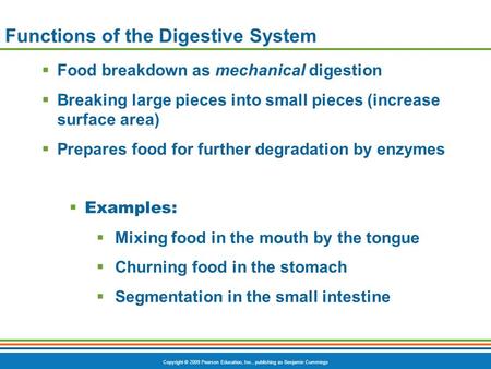 Copyright © 2009 Pearson Education, Inc., publishing as Benjamin Cummings Functions of the Digestive System  Food breakdown as mechanical digestion 