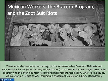 “Mexican workers recruited and brought to the Arkansas valley, Colorado, Nebraska and Minnesota by the FSA (Farm Security Administration), to harvest and.