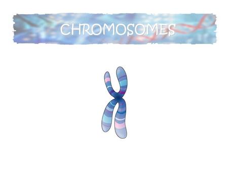CHROMOSOMES. The packaging for our genes Genes are the instructions used to make functional products Proteins are the basic component of all living cells.