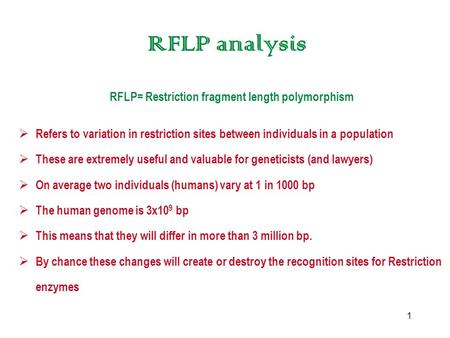 1 RFLP analysis RFLP= Restriction fragment length polymorphism  Refers to variation in restriction sites between individuals in a population  These are.