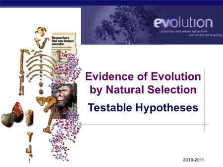 AP Biology 2010-2011 Evidence of Evolution by Natural Selection Testable Hypotheses.