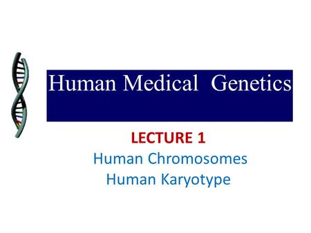 Human Medical Genetics