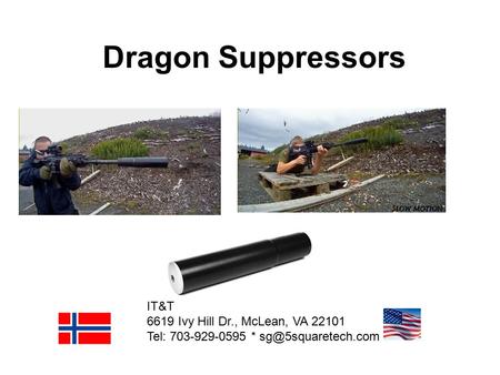 Dragon Suppressors IT&T 6619 Ivy Hill Dr., McLean, VA 22101 Tel: 703-929-0595 *