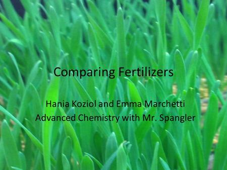 Comparing Fertilizers Hania Koziol and Emma Marchetti Advanced Chemistry with Mr. Spangler.
