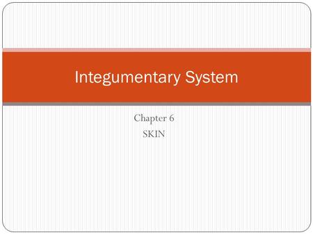 Integumentary System Chapter 6 SKIN.