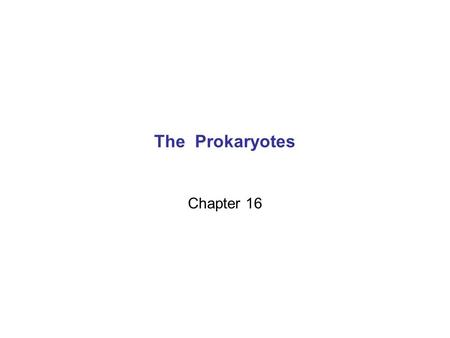 The Prokaryotes Chapter 16. Virus Bacterium Animal cell Animal cell nucleus 0.25 µm.