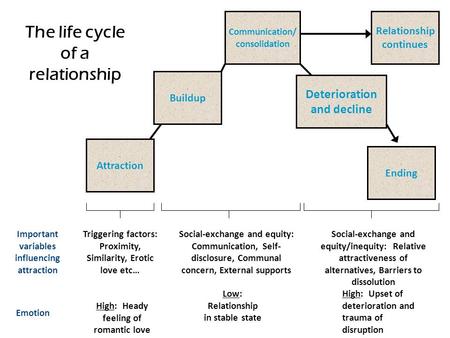 Attraction Communication/ consolidation Buildup Ending Deterioration and decline Relationship continues Triggering factors: Proximity, Similarity, Erotic.