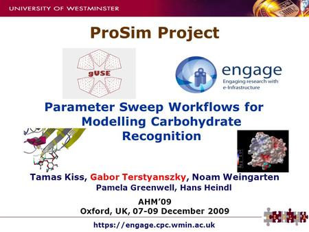 Https://engage.cpc.wmin.ac.uk Parameter Sweep Workflows for Modelling Carbohydrate Recognition ProSim Project Tamas Kiss, Gabor Terstyanszky, Noam Weingarten.