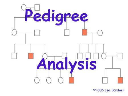 Pedigree Analysis ©2005 Lee Bardwell.
