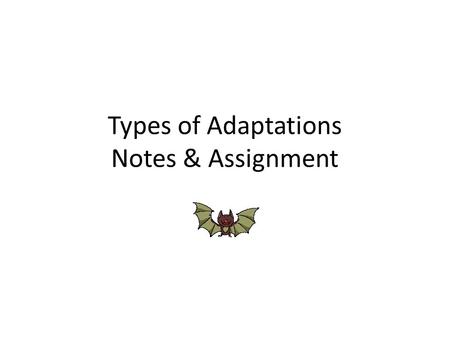 Types of Adaptations Notes & Assignment