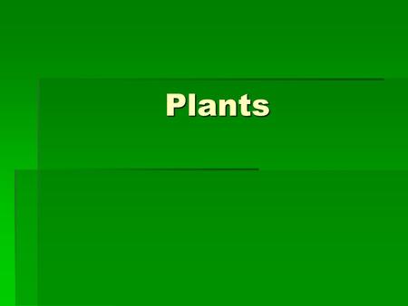 Plants. General Characteristics  Eukaryotic  Multicellular  Perform photosynthesis  Alternation of generations.