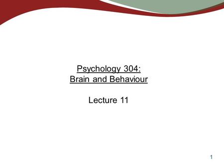 1 Psychology 304: Brain and Behaviour Lecture 11.