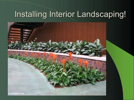 Installing Interior Landscaping!. Next Generation Science / Common Core Standards Addressed! CCSS.ELA Literacy Follow precisely a complex multistep procedure.