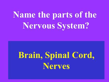 Brain, Spinal Cord, Nerves Name the parts of the Nervous System?