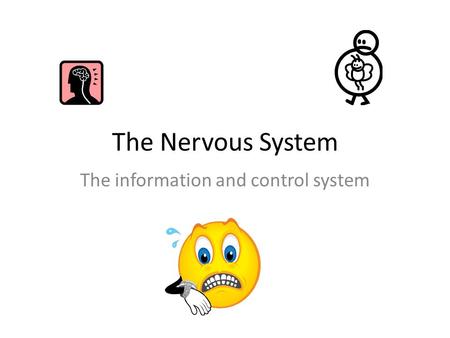 The Nervous System The information and control system.