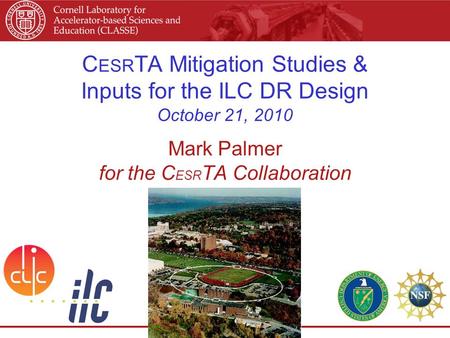 C ESR TA Mitigation Studies & Inputs for the ILC DR Design October 21, 2010 Mark Palmer for the C ESR TA Collaboration.