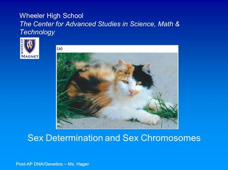 Sex Determination and Sex Chromosomes