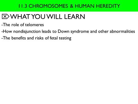 11.3 CHROMOSOMES & HUMAN HEREDITY