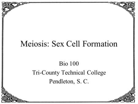 Meiosis: Sex Cell Formation