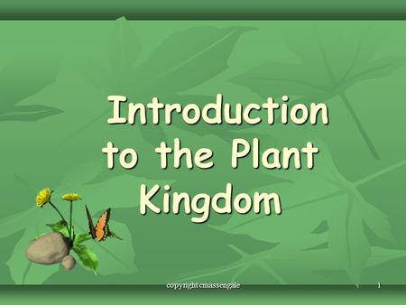 1 Introduction to the Plant Kingdom Introduction to the Plant Kingdom copyright cmassengale.