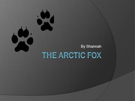 By Shannah The Arctic fox.