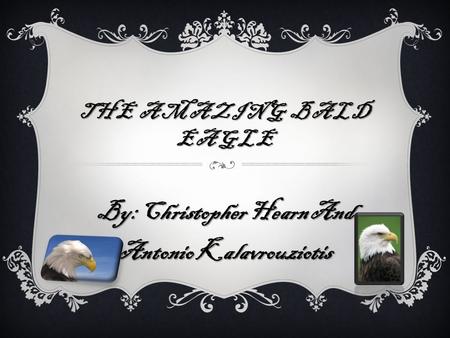 THE AMAZING BALD EAGLE By: Christopher Hearn And Antonio Kalavrouziotis.
