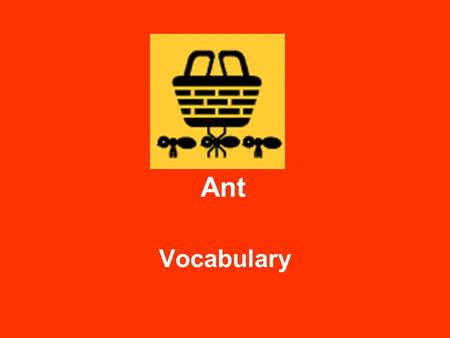 Ant Vocabulary. antennae a pair of long, thin feelers on the head of an insect.