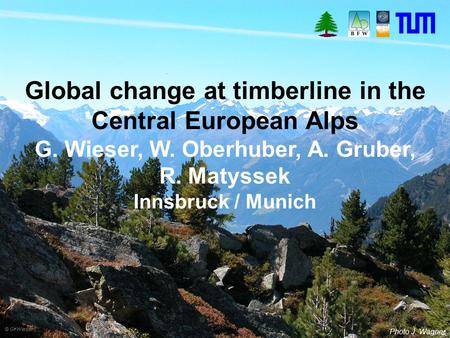 Global change at timberline in the Central European Alps G. Wieser, W. Oberhuber, A. Gruber, R. Matyssek Innsbruck / Munich © G. Wieser Photo J. Wagner.
