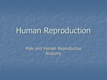 Human Reproduction Male and Female Reproductive Anatomy.