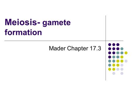 Meiosis- gamete formation Mader Chapter 17.3. Mitosis does not alter the chromosomal makeup of cells.