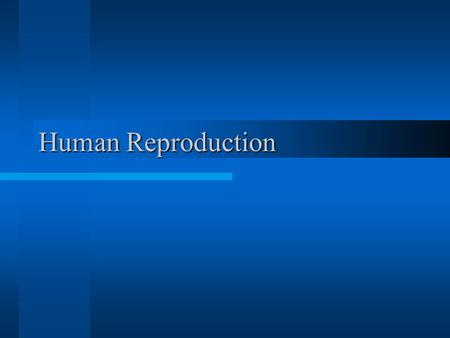 Human Reproduction http://www.youtube.com/watch?v=nLmg4wSHdxQ.