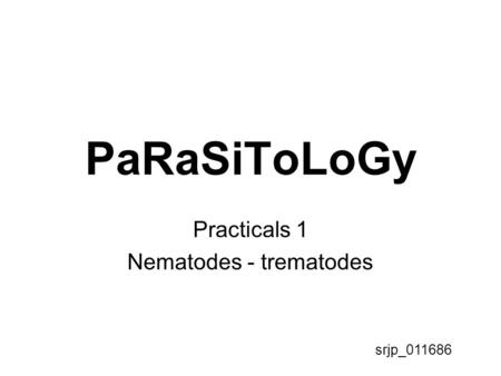 Practicals 1 Nematodes - trematodes