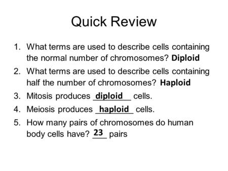 Quick Review Diploid Haploid diploid haploid 23