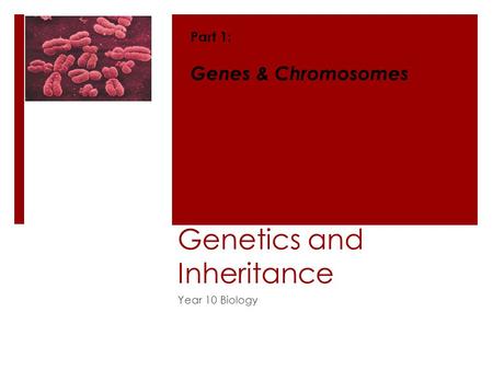 Genetics and Inheritance Year 10 Biology Part 1: Genes & Chromosomes.