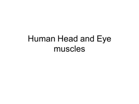 Human Head and Eye muscles. Epicranius (frontalis), Levator labii superioris, Orbicularis oculi, Orbicularis oris, Buccinator, Masseter, Zygomaticus,