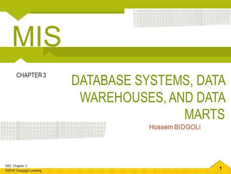 MIS DATABASE SYSTEMS, DATA WAREHOUSES, AND DATA MARTS CHAPTER 3