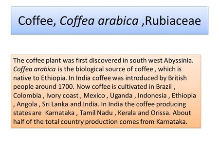Coffee, Coffea arabica ,Rubiaceae