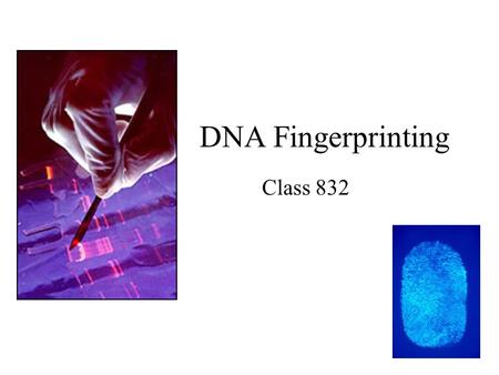 DNA Fingerprinting Class 832. LEGO Model of DNA DNA is a molecule in your body. It is a code, which stores instructions for building the “machines” in.