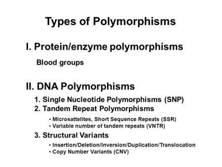 Types of Polymorphisms I. Protein/enzyme polymorphisms Blood groups II. DNA Polymorphisms 1.Single Nucleotide Polymorphisms (SNP) 2.Tandem Repeat Polymorphisms.