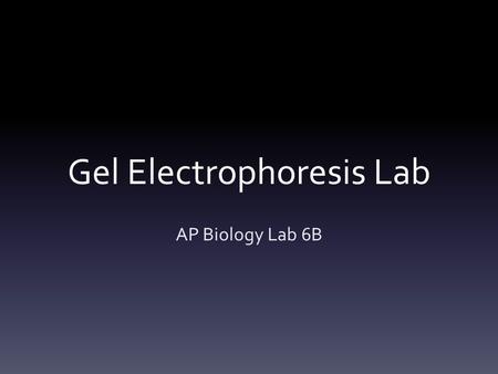 Gel Electrophoresis Lab