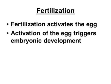 Fertilization Fertilization activates the egg Activation of the egg triggers embryonic development.