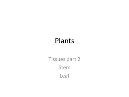 Plants Tissues part 2 Stem Leaf.