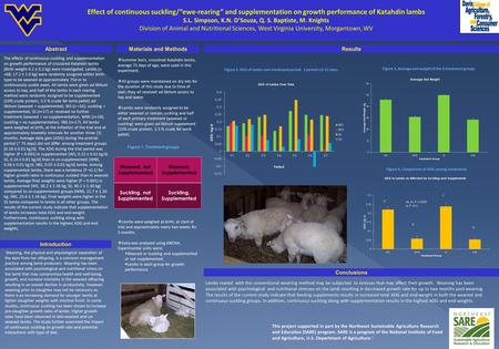 The effects of continuous-suckling and supplementation on growth performance of crossbred Katahdin lambs (Birth weight 4.2 ± 0.2 kg) were investigated.