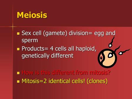 Meiosis Sex cell (gamete) division= egg and sperm Sex cell (gamete) division= egg and sperm Products= 4 cells all haploid, genetically different Products=