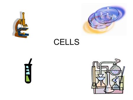 CELLS. What is a cell? simplest unit of life structural and functional component of living things all organisms are made of cells single celled: unicellular.