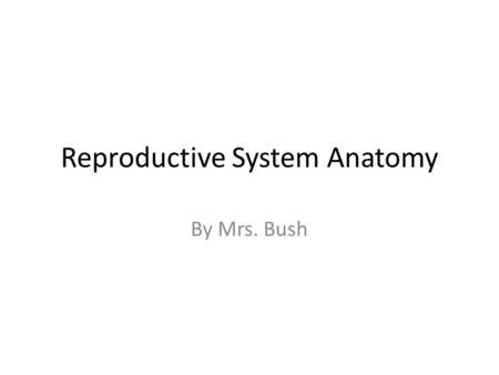 Reproductive System Anatomy By Mrs. Bush. Introduction Both male and female reproductive systems have essential and accessory organs of reproduction.