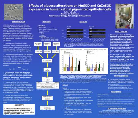 METHODS Effects of glucose alterations on MnSOD and CuZnSOD expression in human retinal pigmented epithelial cells Katie M. Hertz Mentor: Dr. Kaltreider.