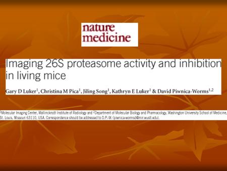 Why this research? Proteasome activity before now measured with isolated 20S subunit – no 19S involvement Proteasome activity before now measured with.